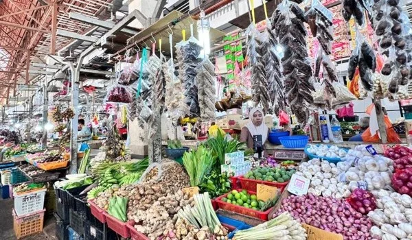 bantuan PMKS kerajaan